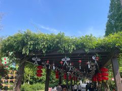 -白马涧龙池景区