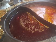 -蜀大侠火锅(总府路店)