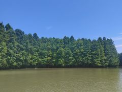 -上海海湾国家森林公园