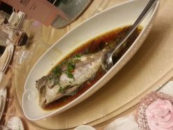 -上海绿地万豪酒店·大宴会厅