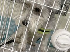 -天宠宠物医院24小时·急重症诊疗中心·全科·腔镜特色(和平分院)