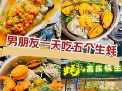 -土蚝·高压锅生蚝(百姓美食街店)