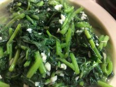 红薯叶-江南古镇味道·私房菜