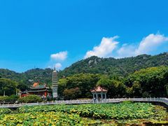 -厦门大学(思明校区)