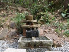 -广州白江湖森林公园