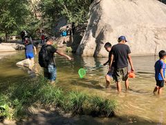 -碓臼峪自然风景区