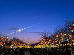 -龙湖星悦荟(颐和店)