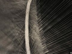 -张之洞与武汉博物馆
