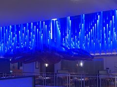 -蟹之国·精品蟹料理(极地店)