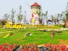 -三圣花乡旅游区