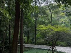 -雁荡山风景名胜区