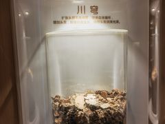 -莲花国际广场