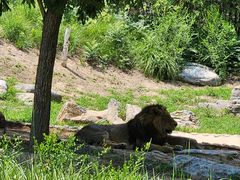 -北京野生动物园