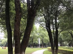 -重庆市江北嘴中央商务区中央公园