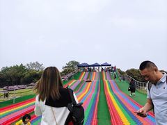 -长洲岛