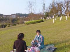 -铁山坪森林公园