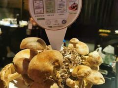-捞王猪肚鸡火锅(财富中心店)