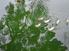 -云水谣景区