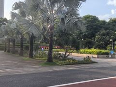 -南宁南湖公园