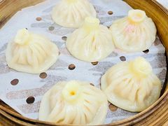 -海胆小馆(东北水饺·春柳店)