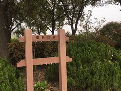 便民钩-新江湾城公园