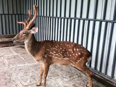-洪湖家庭农场·团建·露营·会议