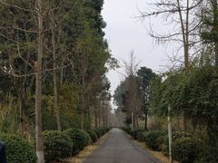 -白鹭湾湿地公园