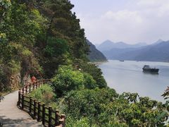 -羚羊峡古栈道森林公园