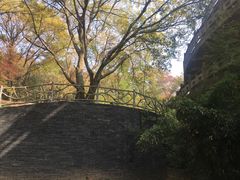 -南京市无想山景区