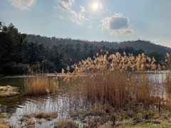 -南京市无想山景区
