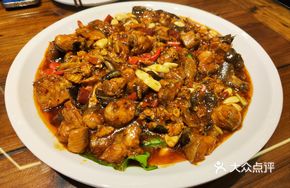 Special Catfish