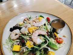 -HELLO 27 意面·沙拉·帕尼尼