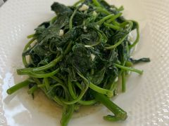 蒜蓉苕尖-院8里·少城记忆老川菜(宽窄巷子店)