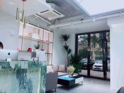 点击看大图 -IDOL PLUS