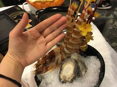 -鲜入围煮花胶鸡海鲜火锅