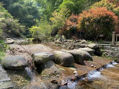 -东白山