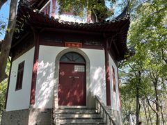 -上海佘山国家森林公园天马山园