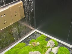 -华夏良子·足道SPA艾灸(金皇大厦店)