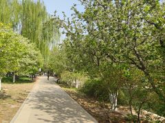 -元大都城垣遗址公园