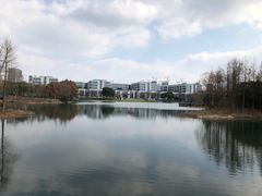 -尚贤河湿地