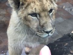 -西安秦岭野生动物园