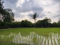 -广东花都香草世界旅游度假区