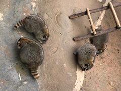 -杭州野生动物世界