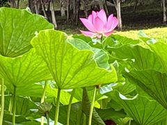 -莫子山公园