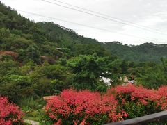 -广东天露山旅游度假区