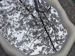 -杭州少年儿童公园