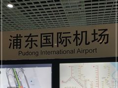 -浦东1号2号航站楼(地铁站)