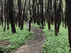 -同里国家湿地公园