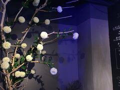 -sugarman espresso素饮糖人高新咖啡工厂