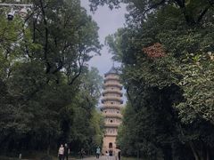 -灵谷景区